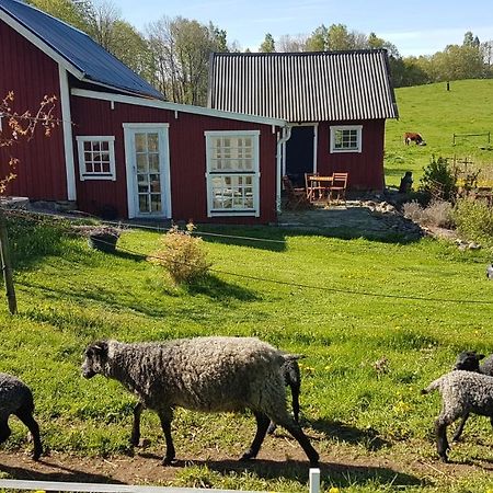 Sjoebacken Gard Bed & Breakfast Lerdala Dış mekan fotoğraf